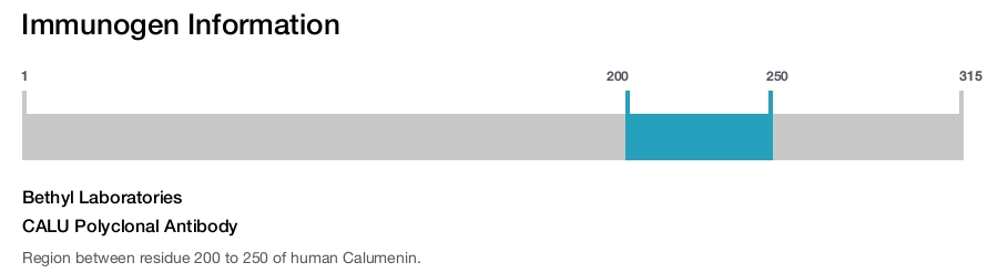 CALU Polyclonal Antibody