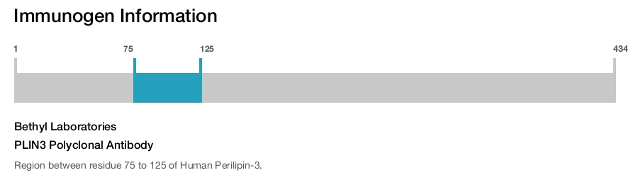 PLIN3 Polyclonal Antibody