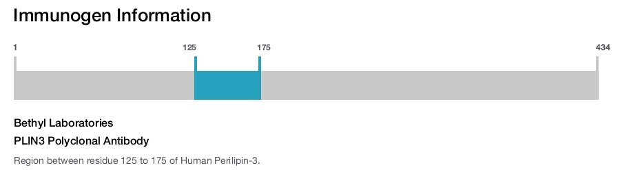 PLIN3 Polyclonal Antibody