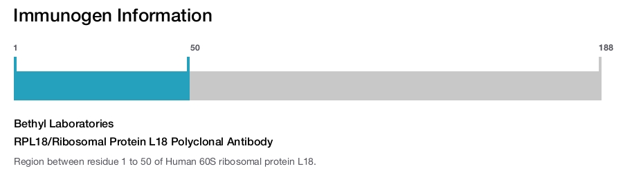 RPL18/Ribosomal Protein L18 Polyclonal Antibody