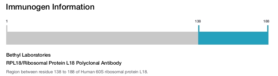 RPL18/Ribosomal Protein L18 Polyclonal Antibody