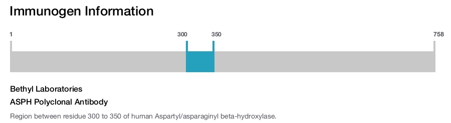 ASPH Polyclonal Antibody