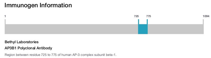 AP3B1 Polyclonal Antibody