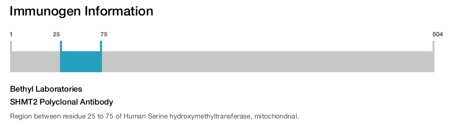 SHMT2 Polyclonal Antibody