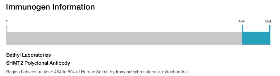 SHMT2 Polyclonal Antibody