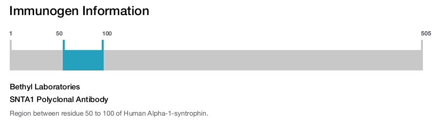 SNTA1 Polyclonal Antibody