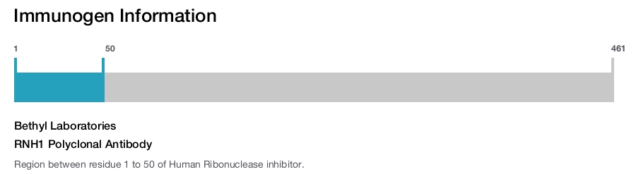 RNH1 Polyclonal Antibody
