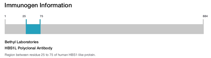 HBS1L Polyclonal Antibody