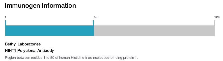 HINT1 Polyclonal Antibody