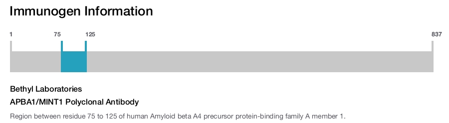 APBA1/MINT1 Polyclonal Antibody