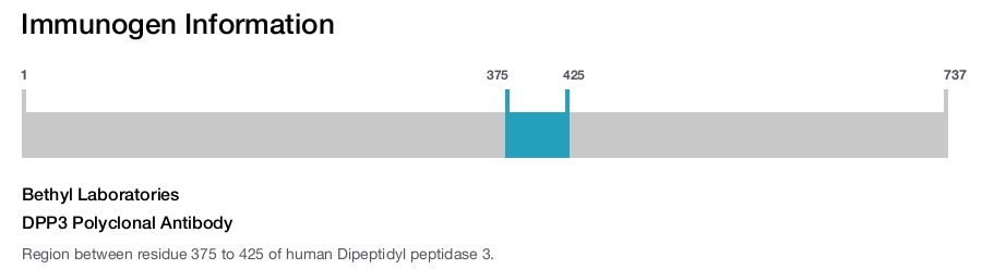 DPP3 Polyclonal Antibody
