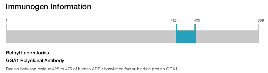 GGA1 Polyclonal Antibody