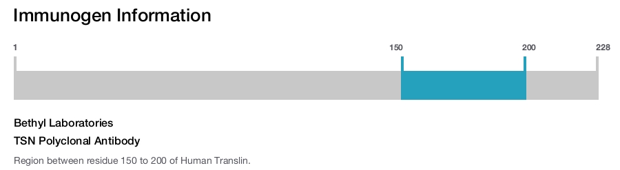 TSN Polyclonal Antibody