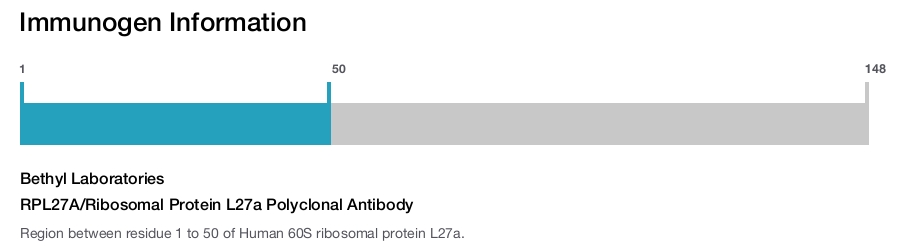RPL27A/Ribosomal Protein L27a Polyclonal Antibody