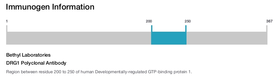DRG1 Polyclonal Antibody
