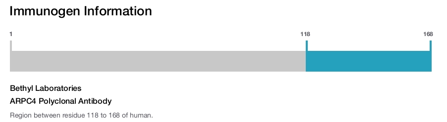 ARPC4 Polyclonal Antibody