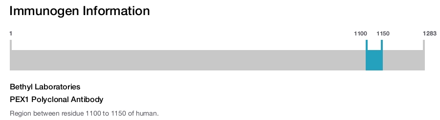 PEX1 Polyclonal Antibody