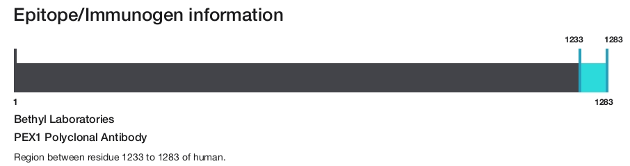 PEX1 Polyclonal Antibody