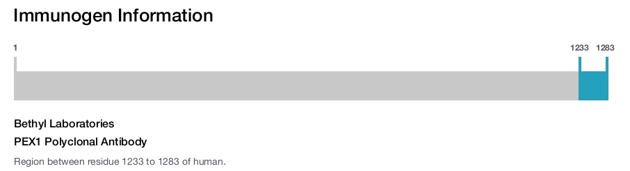 PEX1 Polyclonal Antibody