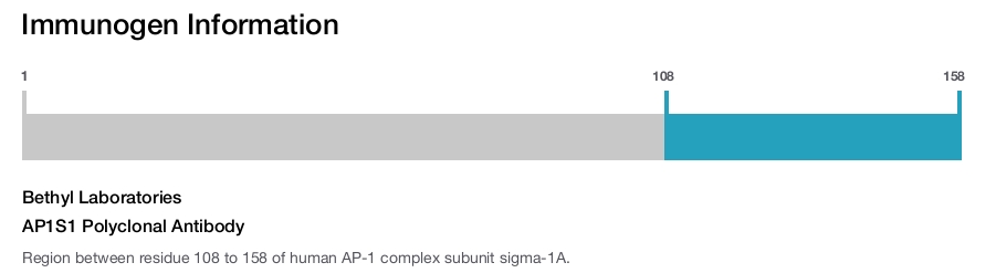AP1S1 Polyclonal Antibody
