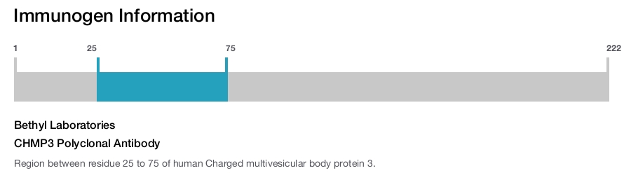CHMP3 Polyclonal Antibody