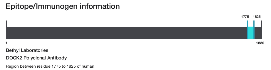 DOCK2 Polyclonal Antibody