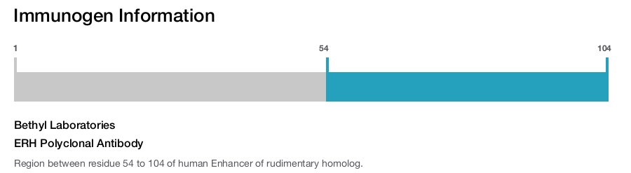 ERH Polyclonal Antibody