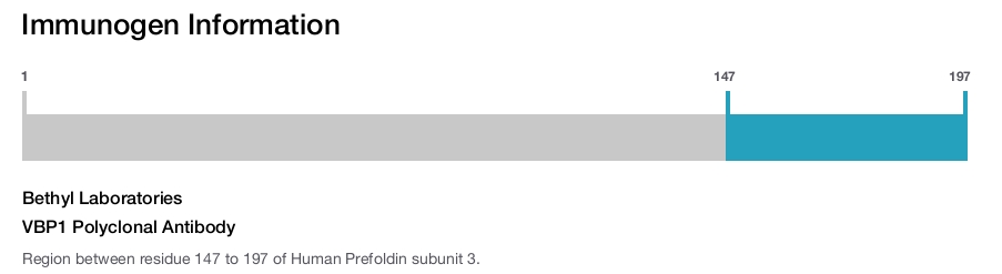 VBP1 Polyclonal Antibody