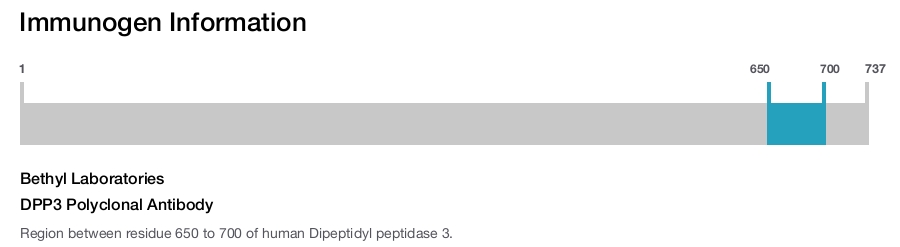 DPP3 Polyclonal Antibody