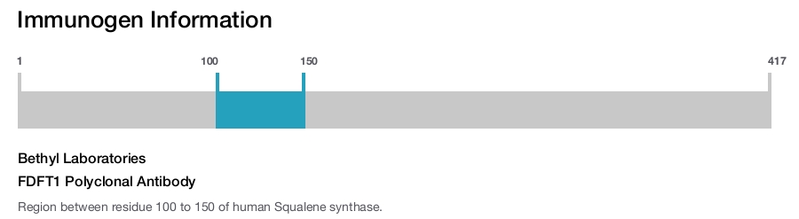 FDFT1 Polyclonal Antibody