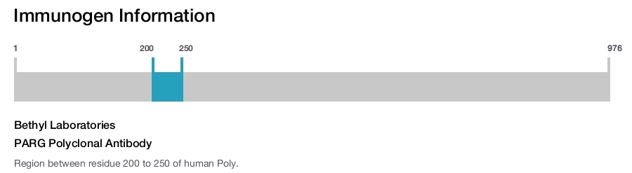 PARG Polyclonal Antibody