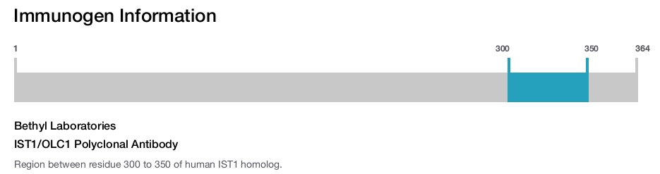 IST1/OLC1 Polyclonal Antibody