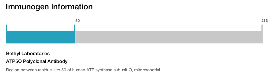 ATP5O Polyclonal Antibody