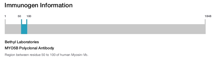 MYO5B Polyclonal Antibody
