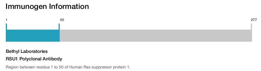 RSU1 Polyclonal Antibody