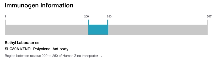 SLC30A1/ZNT1 Polyclonal Antibody