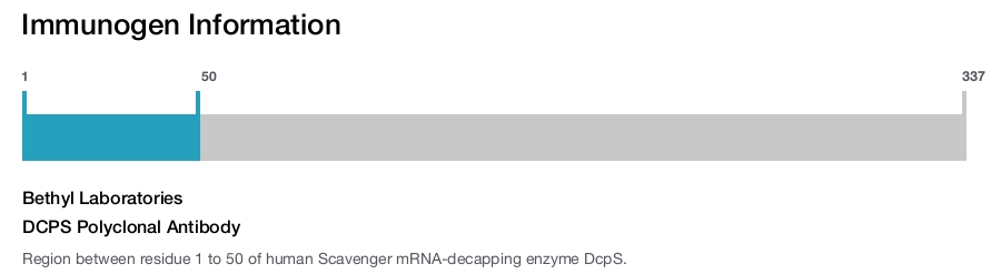 DCPS Polyclonal Antibody