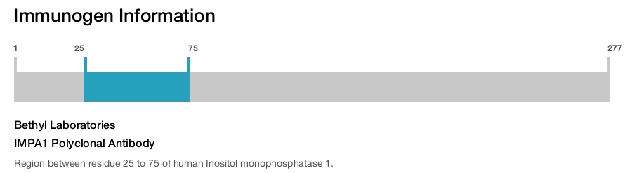 IMPA1 Polyclonal Antibody