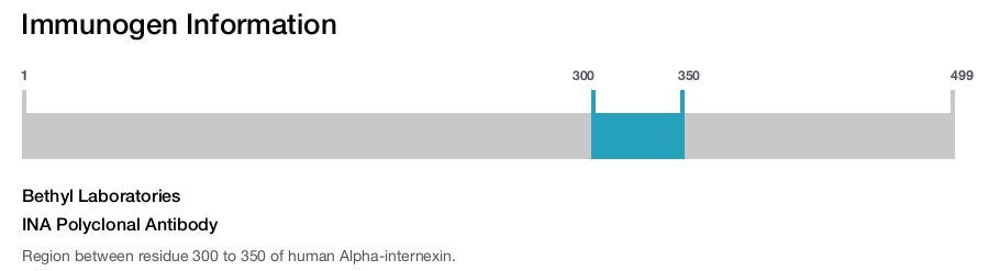 INA Polyclonal Antibody