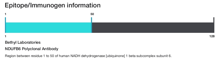 NDUFB6 Polyclonal Antibody