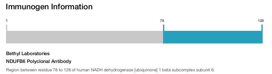 NDUFB6 Polyclonal Antibody