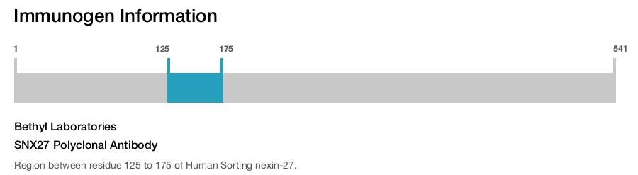 SNX27 Polyclonal Antibody