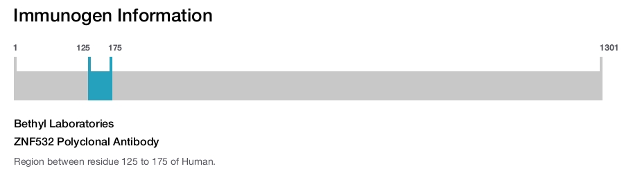 ZNF532 Polyclonal Antibody