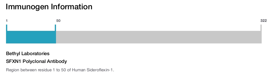 SFXN1 Polyclonal Antibody