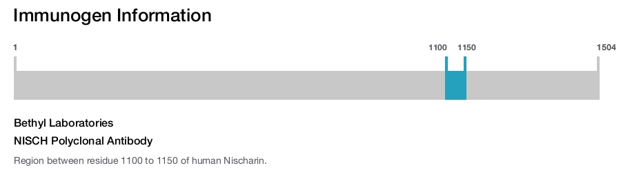 NISCH Polyclonal Antibody