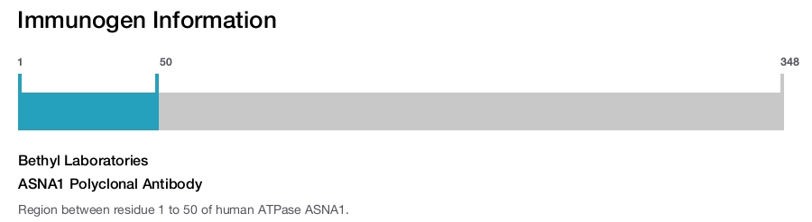 ASNA1 Polyclonal Antibody