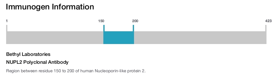 NUPL2 Polyclonal Antibody
