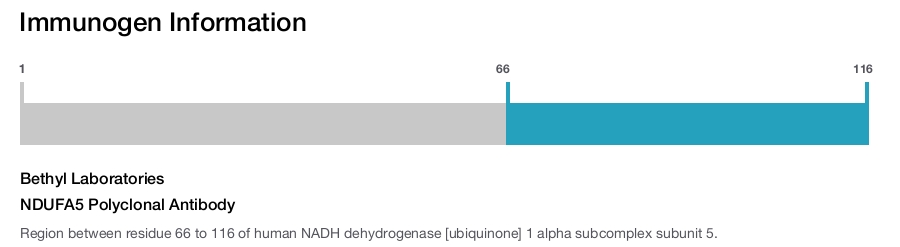 NDUFA5 Polyclonal Antibody