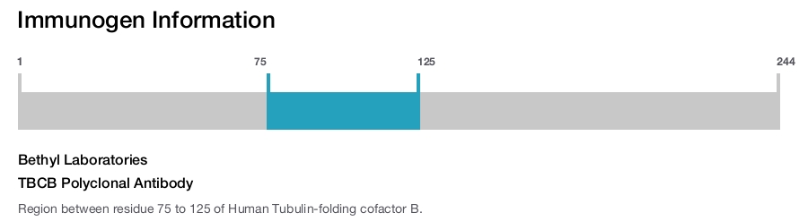 TBCB Polyclonal Antibody