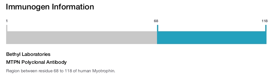 MTPN Polyclonal Antibody